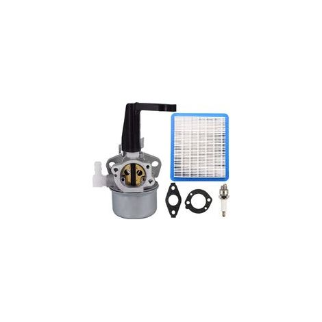 696065 Carburateur Compatible pour Briggs & Stratton 697422 110402 110412 215369 5HP 5.5HP 6HP Tiller Générateur de Moteur Horizontal Pompe à Eau avec Joint Filtre à air Bougie d'allumage (1/5)