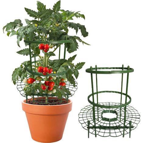 Tuteur rond pour fraisiers, plantes grimpantes, tuteurs pour plantes grimpantes, cages à tomates pour fraisiers et autres petits plants de légumes.