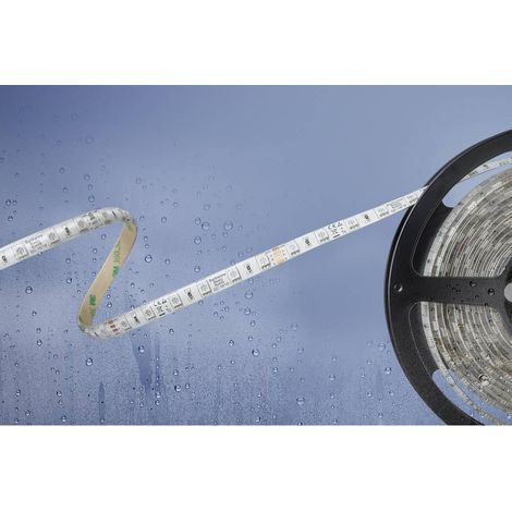 Ruban LED Barthelme 51540831 avec câble à extrémités ouvertes 24 V 5 m N/A 1 pc(s) (1/2)