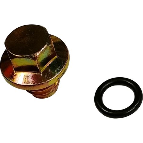 Tapón Y Junta Inferior Carcasa Pistón compatible con Os25X