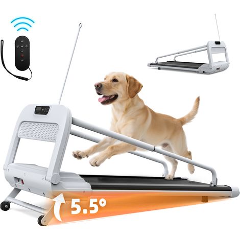Cinta de correr para perros ajustable, silenciosa y plegable, 125 x 56 x 96,5 cm HAVRYA (1/5)