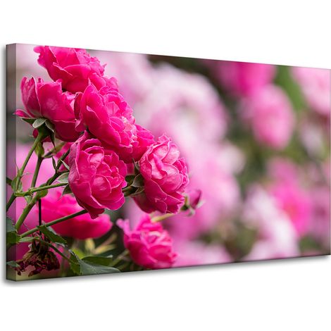 Leinwanddruck „Botanische rosa Rosen“, 100 x 60 cm
