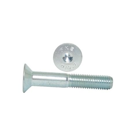 Vis Allen M4x35 classe 10.9 DIN 7991 NG galvanisées 500 pièces. (1/5)