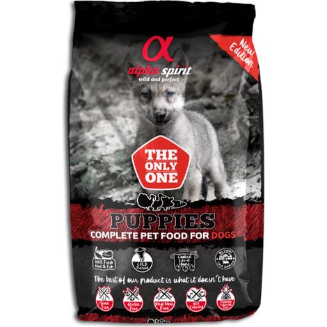 Alfa l'unico cucciolo canino 3kg