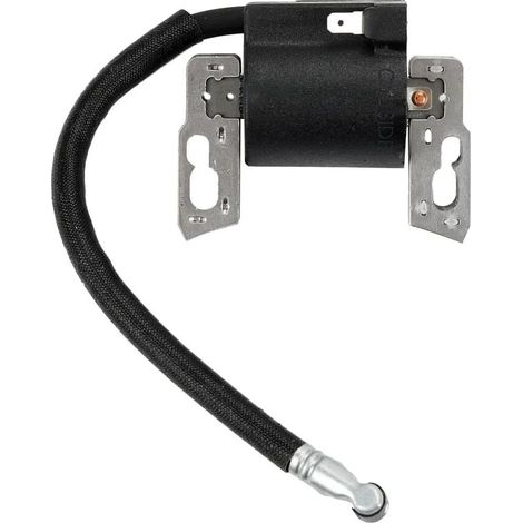 Remplacer la Bobine d\'allumage pour Briggs & Stratton Magneto Armature 495859 491312 490586 492341 Nouveau (1/5)