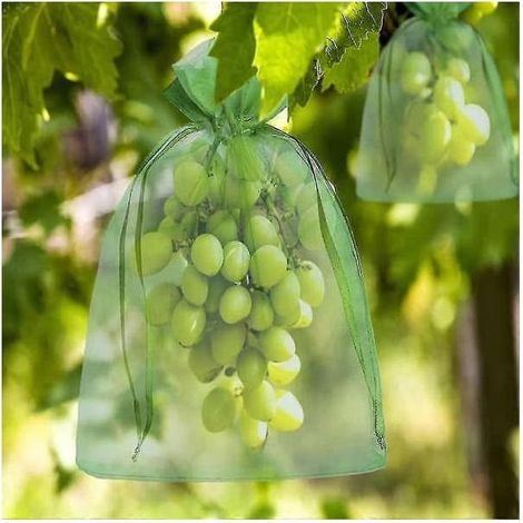 Sachet en organza pour pamplemousse avec cordon de serrage, 100 sachets de protection 23 x 17 cm Vert (1/5)