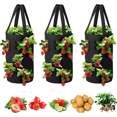 Lot de 3 planteurs inversés suspendus, Sacs de culture à l’envers pour fraises et tomates – Durable, respirant – Idéal pour balcon, terrasse, pergola – Culture verticale sans contact avec le sol (1/5)