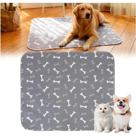 Tapis de propreté pour chiens, version 2026 améliorée, lavable et imprégné de phéromones, Anti-fuites (Gris S : 40 cm × 60 cm) (1/5)