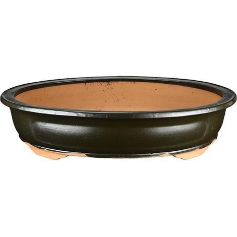 Vaso bonsai ovale smaltato marrone 62 cm