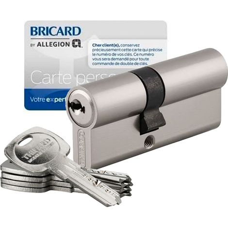 Thirard – Cylindre de serrure à profil européen 40x45mm – Haute sécurité avec 5 clés réversibles – Panneton débrayable – Protection anti-perçage (1/5)