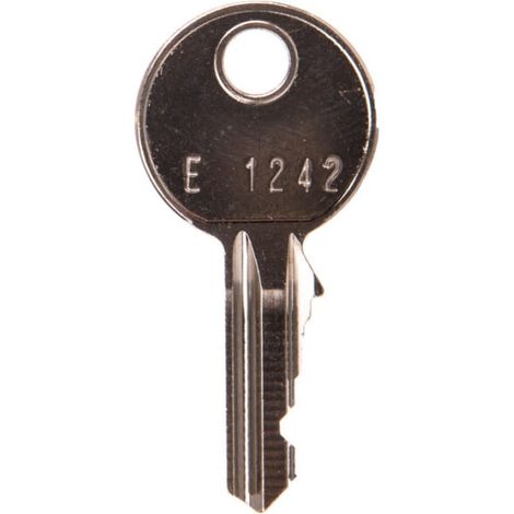 Llave de repuesto universal para FZ597, cerradura 1242E, IP44/IP54 FZ596