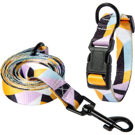 Collier Pour Chien - Laisse Pour Chien - Ensemble Collier Et Laisse En Polyester - Taille M 26 À 42 Cm - Pour Chiens Moyens Et Petits (1/5)