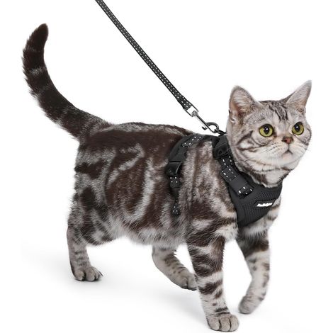 Harnais pour Chat avec Laisse, Boucle de Cou, Noir, S (1/5)