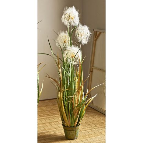Plante de pissenlit 120 cm. 120 cm (1/3)