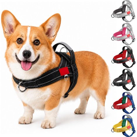 Harnais Chien Anti Traction avec Poignée, Harnais Chiot Maille Respirante Réglable, Facile à Mettre, Gilet Réfléchissant Anti-Étouffement pour Petits Moyens Chiens (Noir et Gris, S) (1/5)