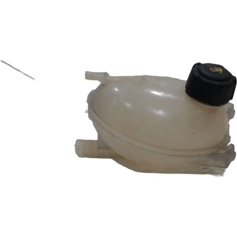 Vase Expansion RENAULT Clio [PRODUIT D'OCCASION]♻️217104354r (1/3)