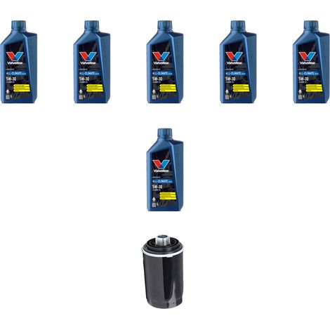 Kit filtro olio e 6L compatibile con Audi TT II (8J3) 2.0 tfsi 155kw dal 2010 (1/3)