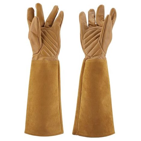Gants de travail en cuir anti-crevaison résistants à l'usure pour la taille des roses (marron M) (1/5)