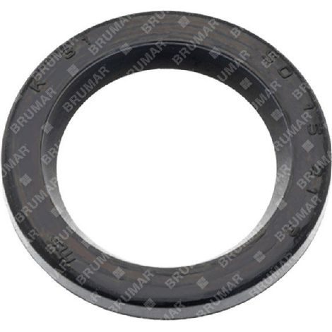 Anello tenuta KAAZ Compatibile - 059442