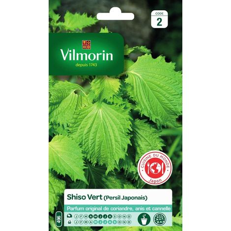 Shiso Vert (1/5)