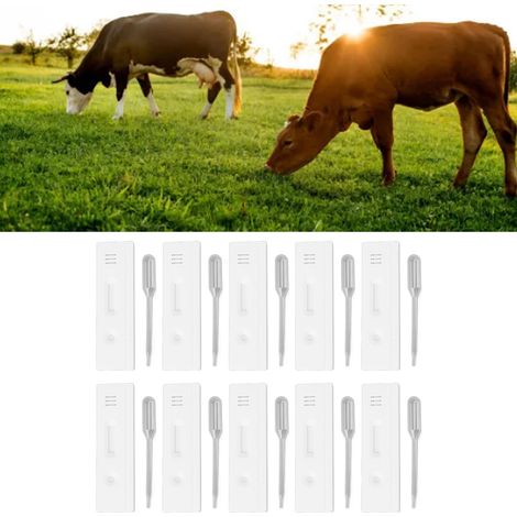 10 lots/vente de bandelettes de test de gestation précoce HL-PTK pour vaches laitières : détection rapide, facile à utiliser, méthode sandwich à double anticorps. (1/5)