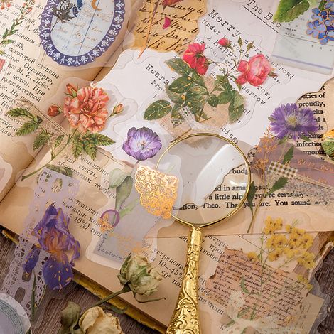 Pack d'autocollants Momo PET, Collection Senyu Collage Poem, Autocollants décoratifs frais et artistiques, 30 pièces, Souvenirs de la vallée vide (1/5)