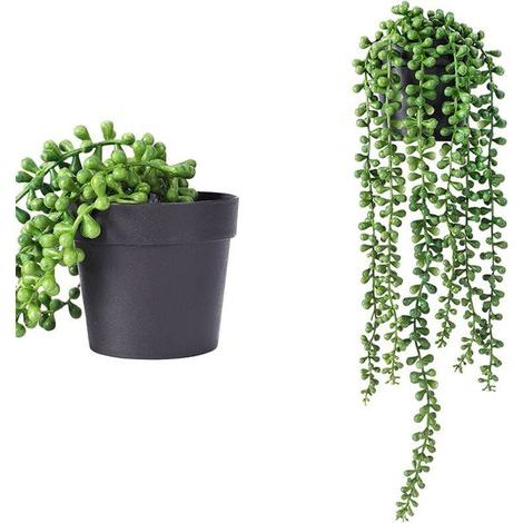 2 Pcs Plantes Suspendues Succulent Lovers Tears Suspendus Art Succulents pour Intérieur Extérieur Décor Succulent Lovers Tears Jardinières Suspendues (1/5)