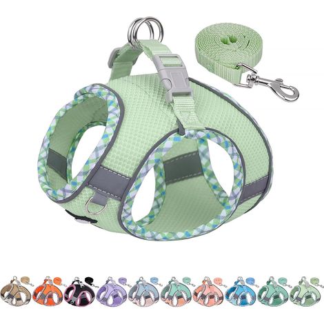 Ensemble Harnais et Laisse pour Chien Anti-Traction, Harnais réglable pour Chien avec Gilet rembourré pour Tous Les Temps, Facile à Mettre sur Les Petits Chiens Sage S (1/5)