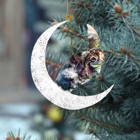 Pendentif De Noël En Bois - Lune Assise Animaux - Décoration Extérieure Arbre Fenêtre Porte - 1 Pièce (1/5)
