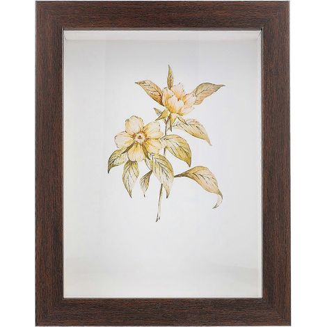 Boîte vitrine de 25 cm (10 pouces) pour exposer des photos souvenirs et des fleurs séchées (1/5)