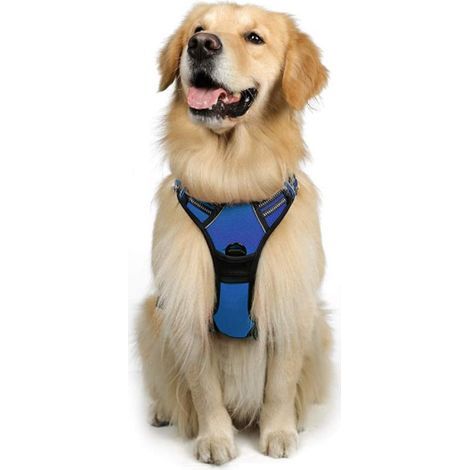 Anti-Zug-Hundegeschirr, leicht anzulegendes, reflektierendes, verstellbares Hundegeschirr mit Frontbefestigung, Geschirr für mittelgroße und große Hunde (Blau, M) (1/5)
