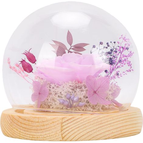 Rose préservée sous dôme de verre anti-poussière cadeau floral élégant pour Noël, anniversaires violet (1/5)