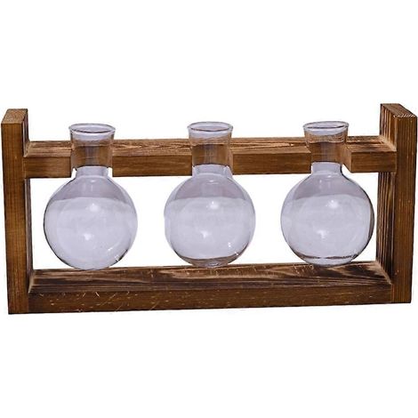 Terrarium en verre pour plantes, station de propagation pour 3 bulbes avec support en bois, pot de fleurs d'intérieur, vase hydroponique et décoration de bureau (1/5)