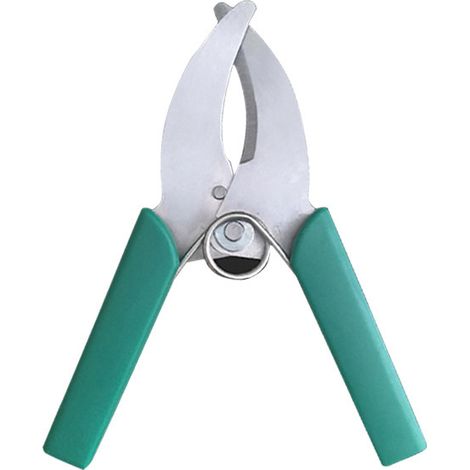 Belt knife, belt shears, fruit trees, belt shears, young vines, belt knife, bark knife, garden, orchard, belt shears