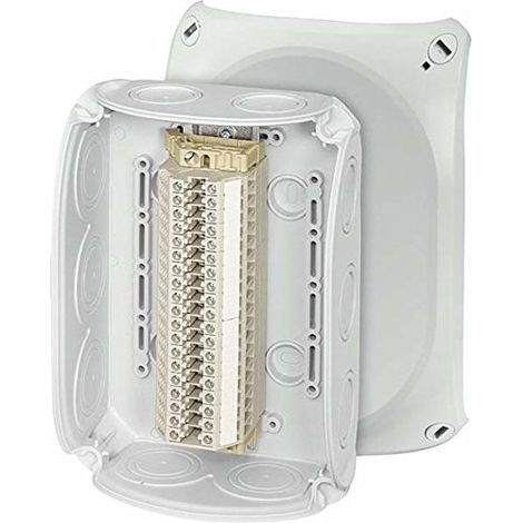 HENSEL SÉRIE BORNES BOÎTE RK 1019 T 1,5-4QMM, 19 BORNES BOÎTE, BOÎTIER POUR MONTAGE SUR LE MUR/PLAFOND 4012591125693