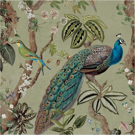 Peacock Woods Sage Green Wallpaper Holden Decor Floral Tropical Botanical Birds (1/4)