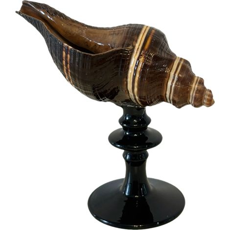 Verre à vin à pied en coquillage naturel, verre artistique en coquillage irrégulier, décoration intérieure.