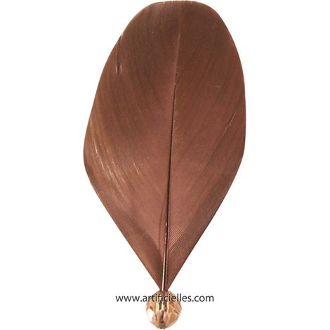 Plumes Perlees Chocolat x 6 pieces 4 x 8 cm - couleur: Chocolat