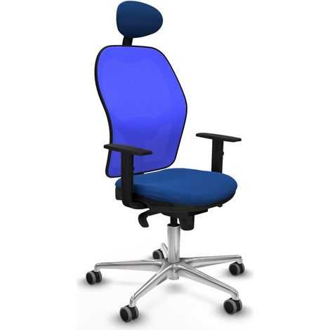 Piqueras y Crespo Jorquera Ergonomischer Bürostuhl Blau (1/3)