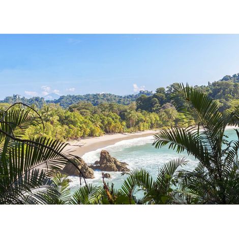 Tableau jungle & plage sable fin | Tableau bord de mer tropicale turquoise | Tableau été salle de bain avec mer & palmier 0,7 x 0,5 m (1/2)