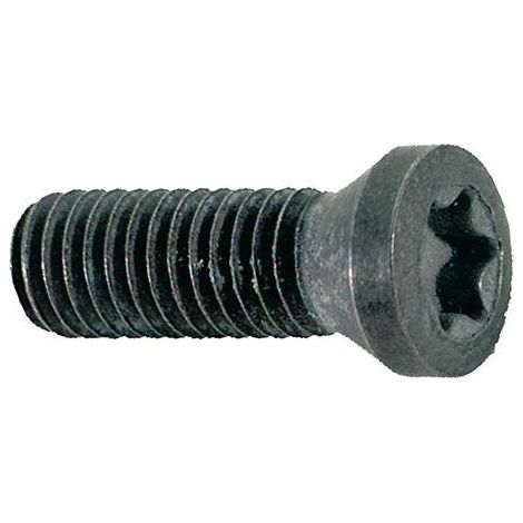 Vis de serrage pour insert M3x73 T08