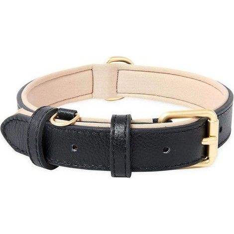 Collier en cuir ajustable pour chiens - Noir (M) (1/5)