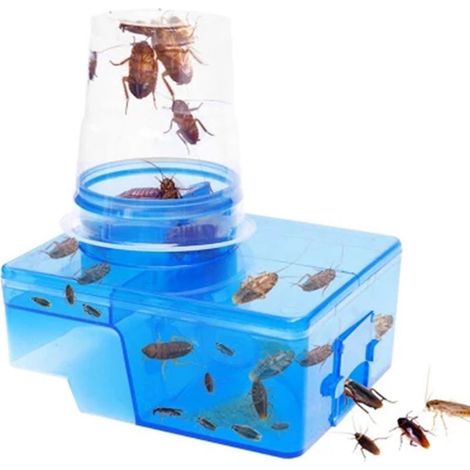 Piège à Cafards Efficace - Boîte Attrape Insectes Répulsif Anti-Nuisibles (1/5)