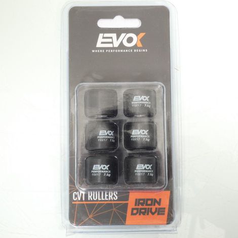 Variomatik-Rolle EVOK für Roller Piaggio 125 ZIP 2000 bis 2003 (1/4)