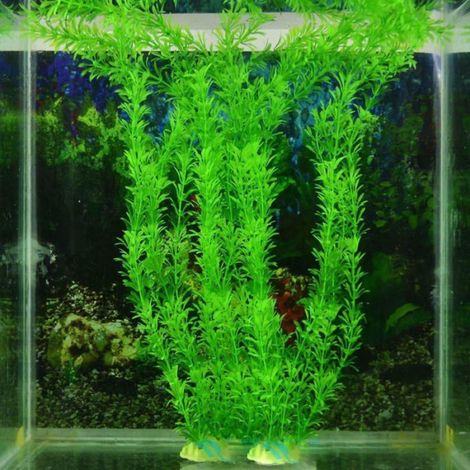 Plante artificielle - - Aquarium - Plastique - Vert (1/2)