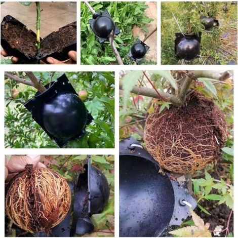 - Ensemble de 20 boîtes de culture réutilisables pour l'enracinement des plantes, outils de culture, outils de greffage en bo (1/4)