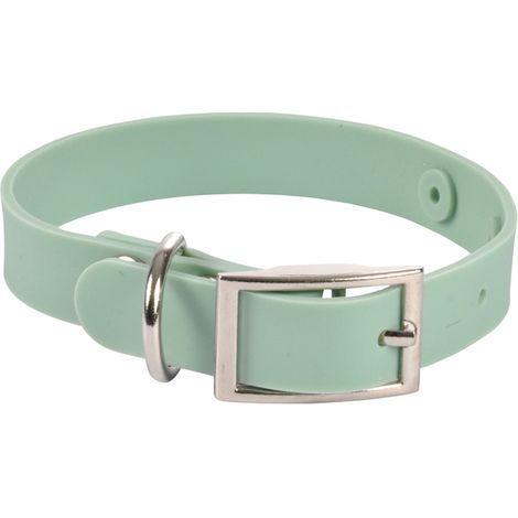 Collier chien silicone menthe S