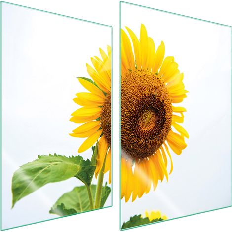 PLACA PROTECTORA DE VIDRIO PARA COCINA 2x35x52 FLOR (1/5)