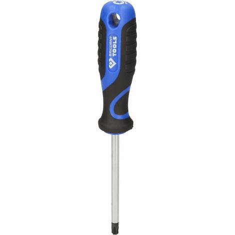 Brilliant Tools Tournevis TORX, T40 (1/5)