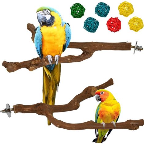 Juego de 2 perchas de madera de vid natural + 6 bolas de ratán, juguetes para masticar para pájaros, reduce la ansiedad y la agresividad, accesorios para jaulas de periquitos, cacatúas y loros. (1/5)